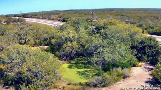 25 acres in Live Oak County - photo 28