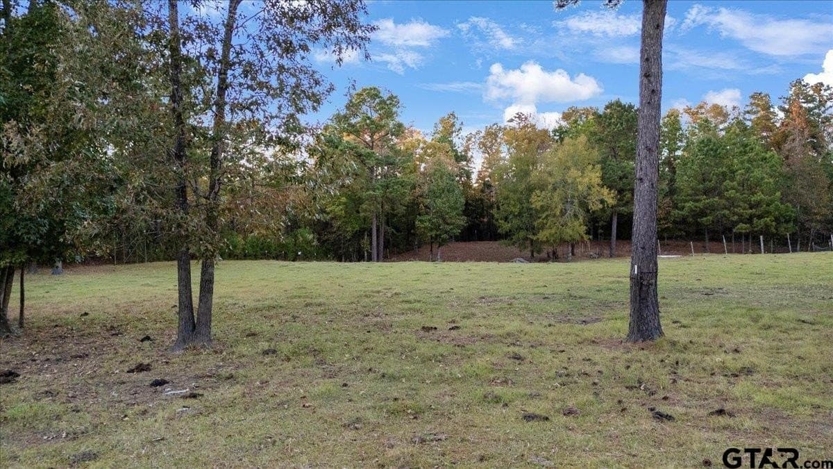 2.52 acres in Smith County - photo 9
