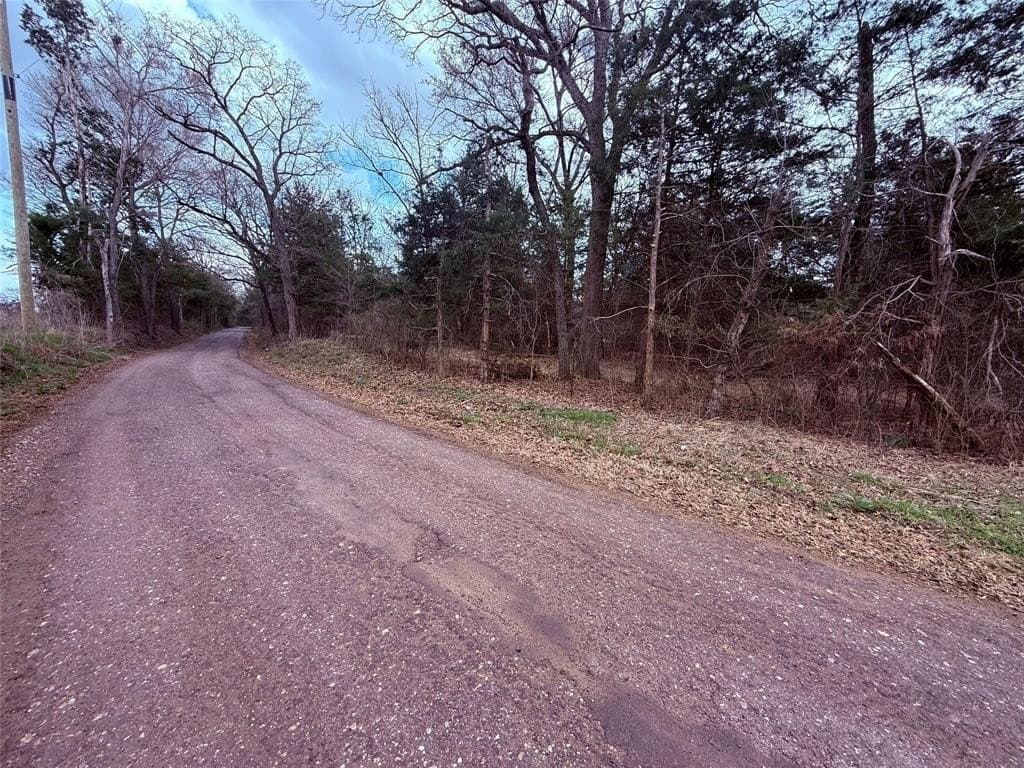 65 acres in Hopkins County - photo 12