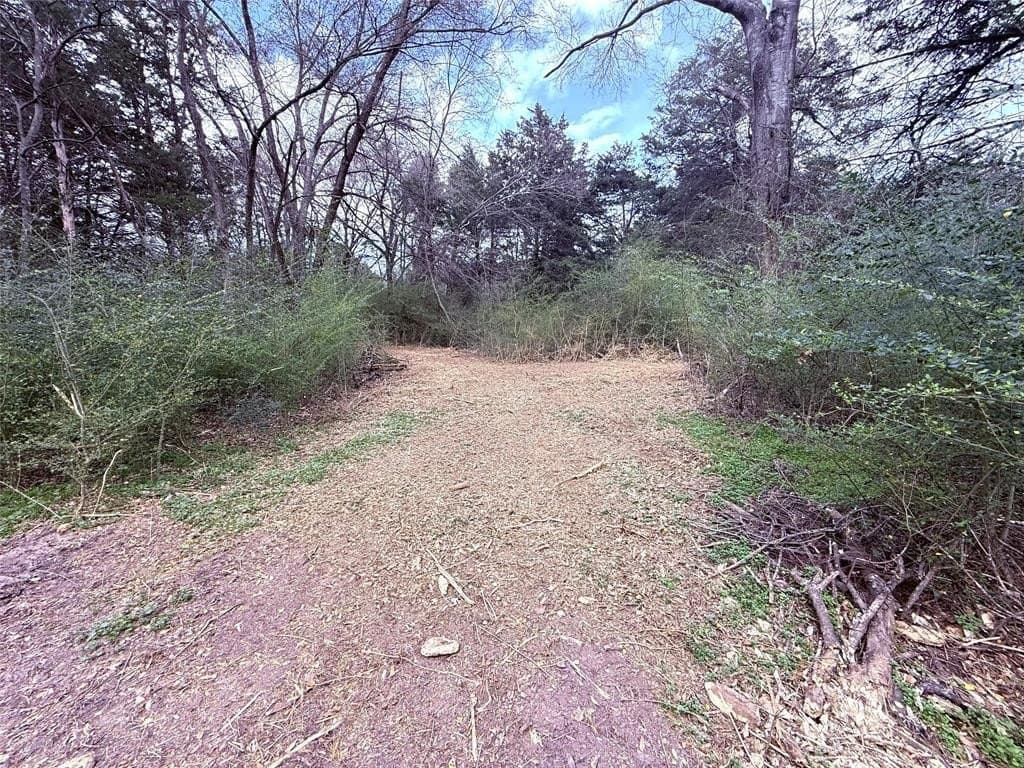 65 acres in Hopkins County - photo 4