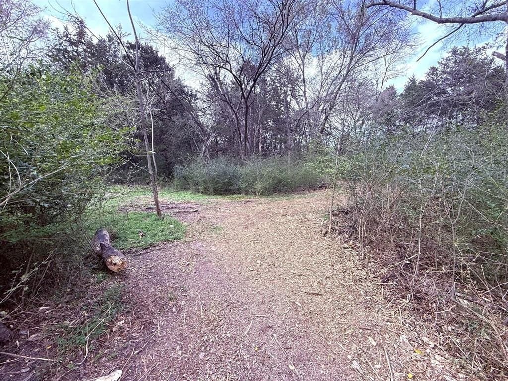 65 acres in Hopkins County - photo 3