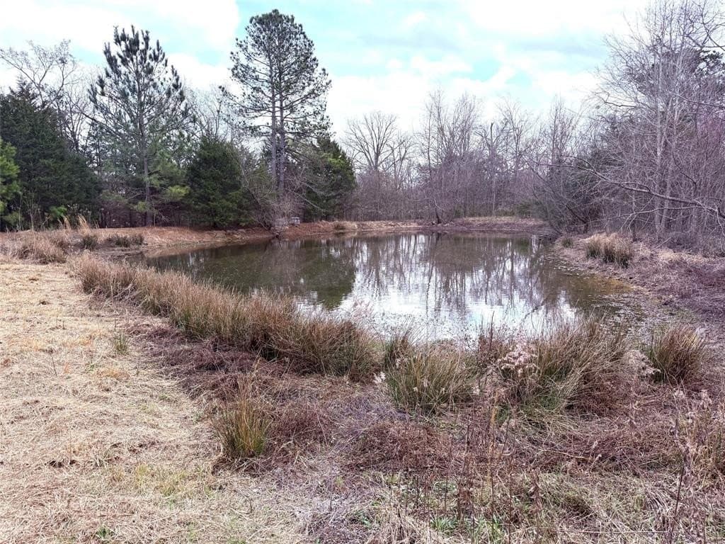 65 acres in Hopkins County - photo 8