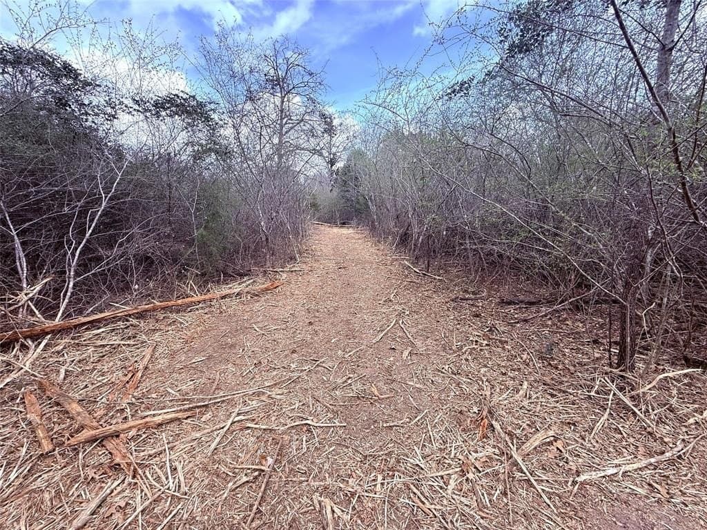 65 acres in Hopkins County - photo 9