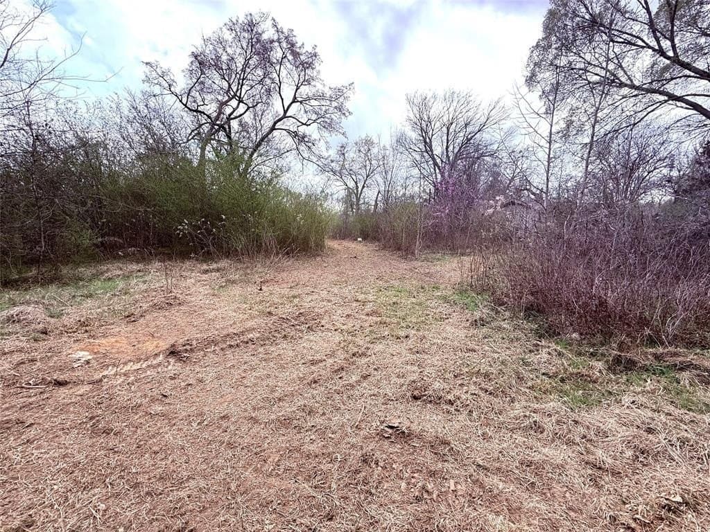 65 acres in Hopkins County - photo 7