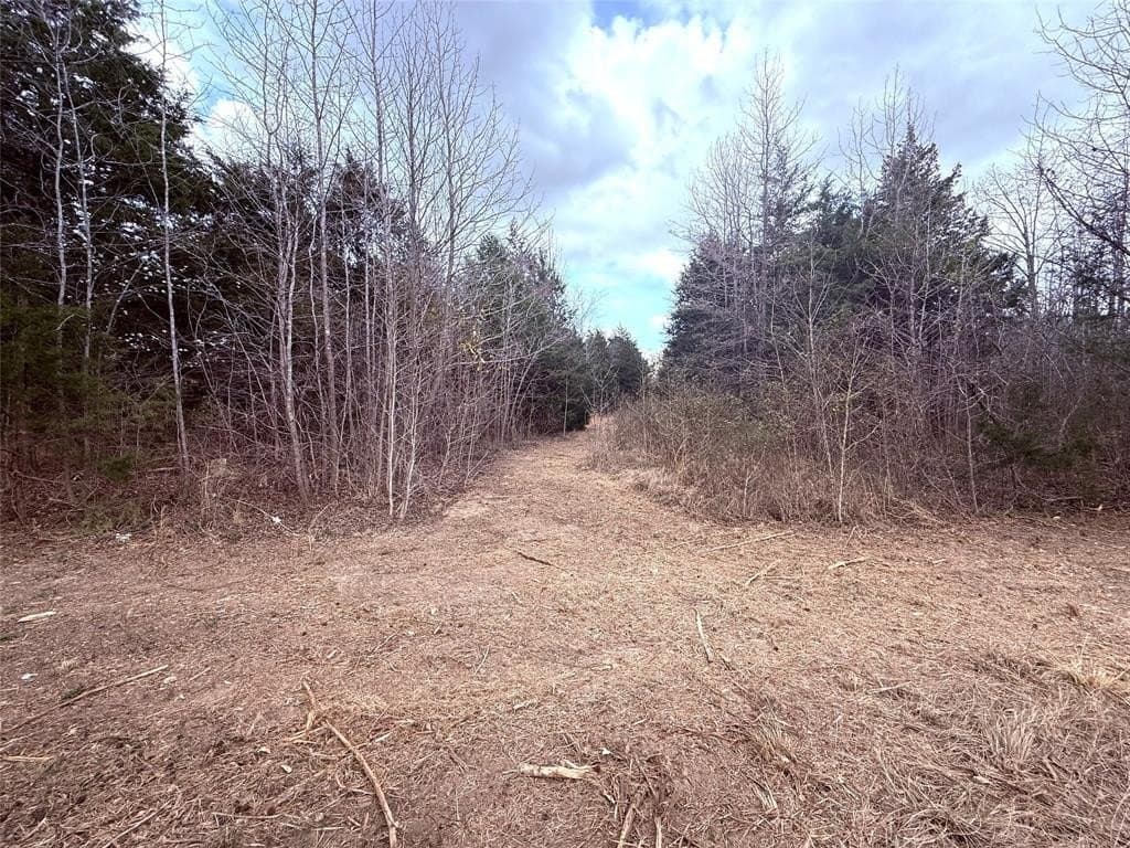 65 acres in Hopkins County - photo 11