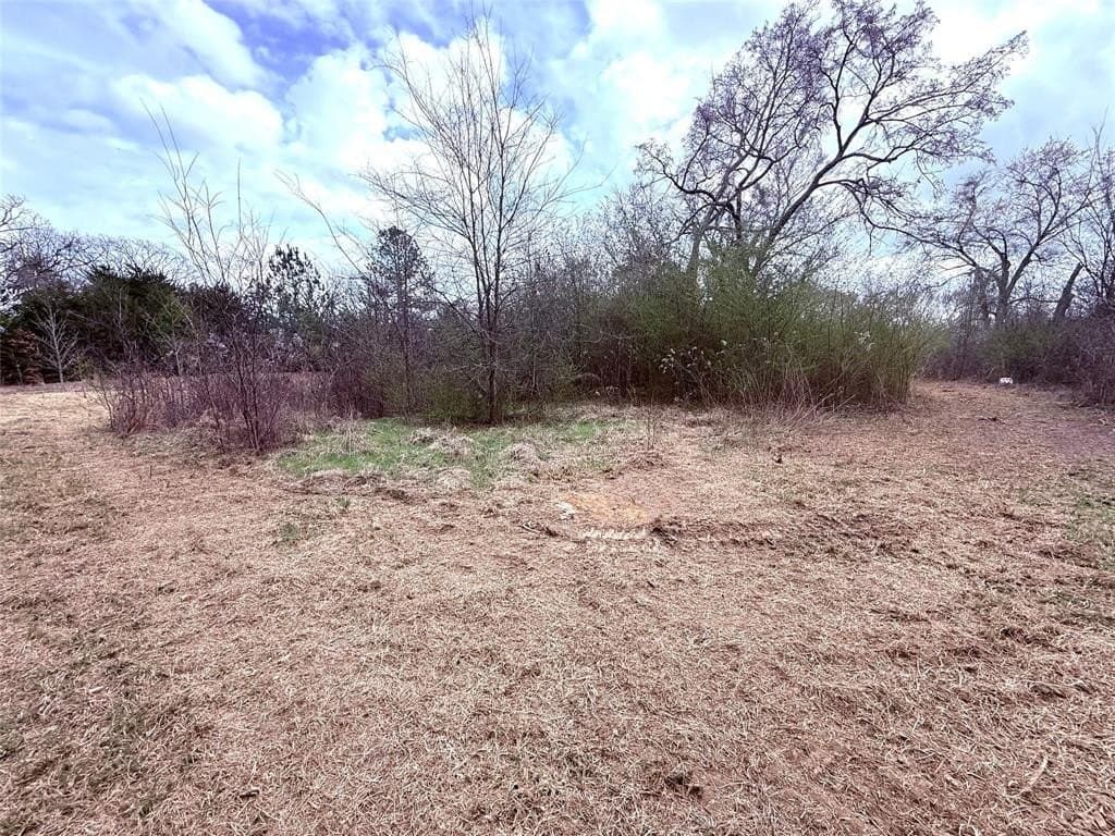 65 acres in Hopkins County - photo 5