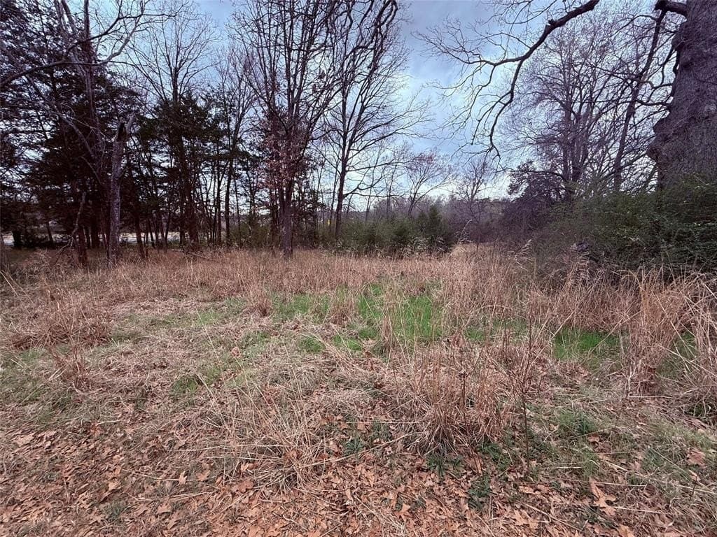 65 acres in Hopkins County - photo 10