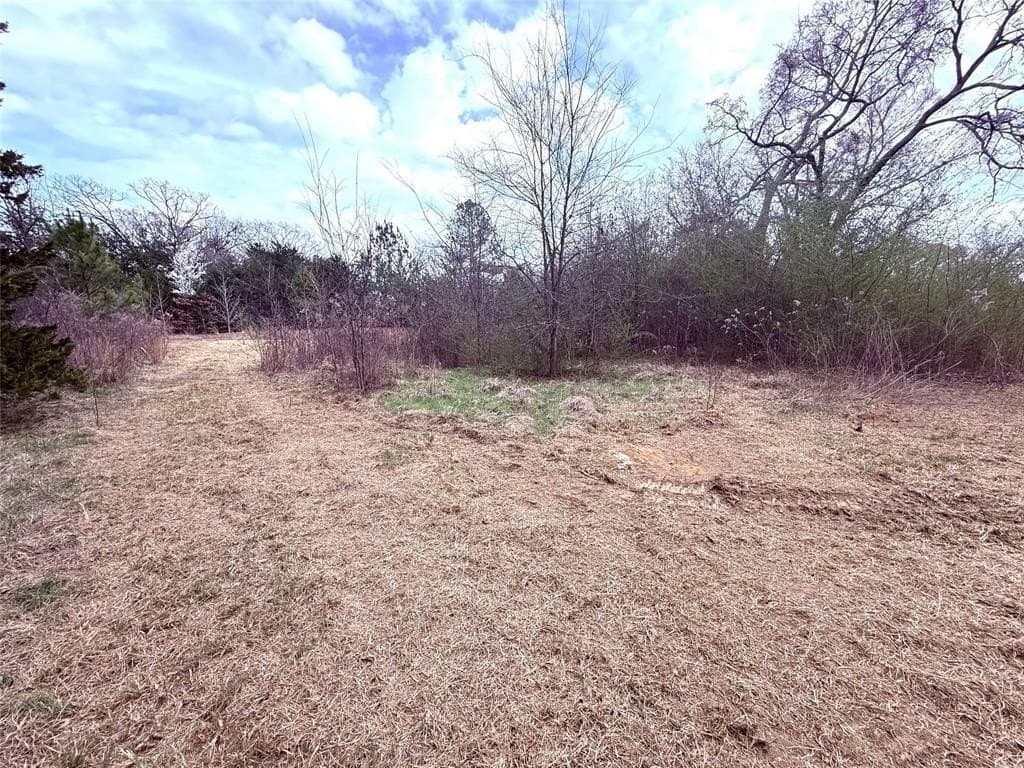 65 acres in Hopkins County - photo 6