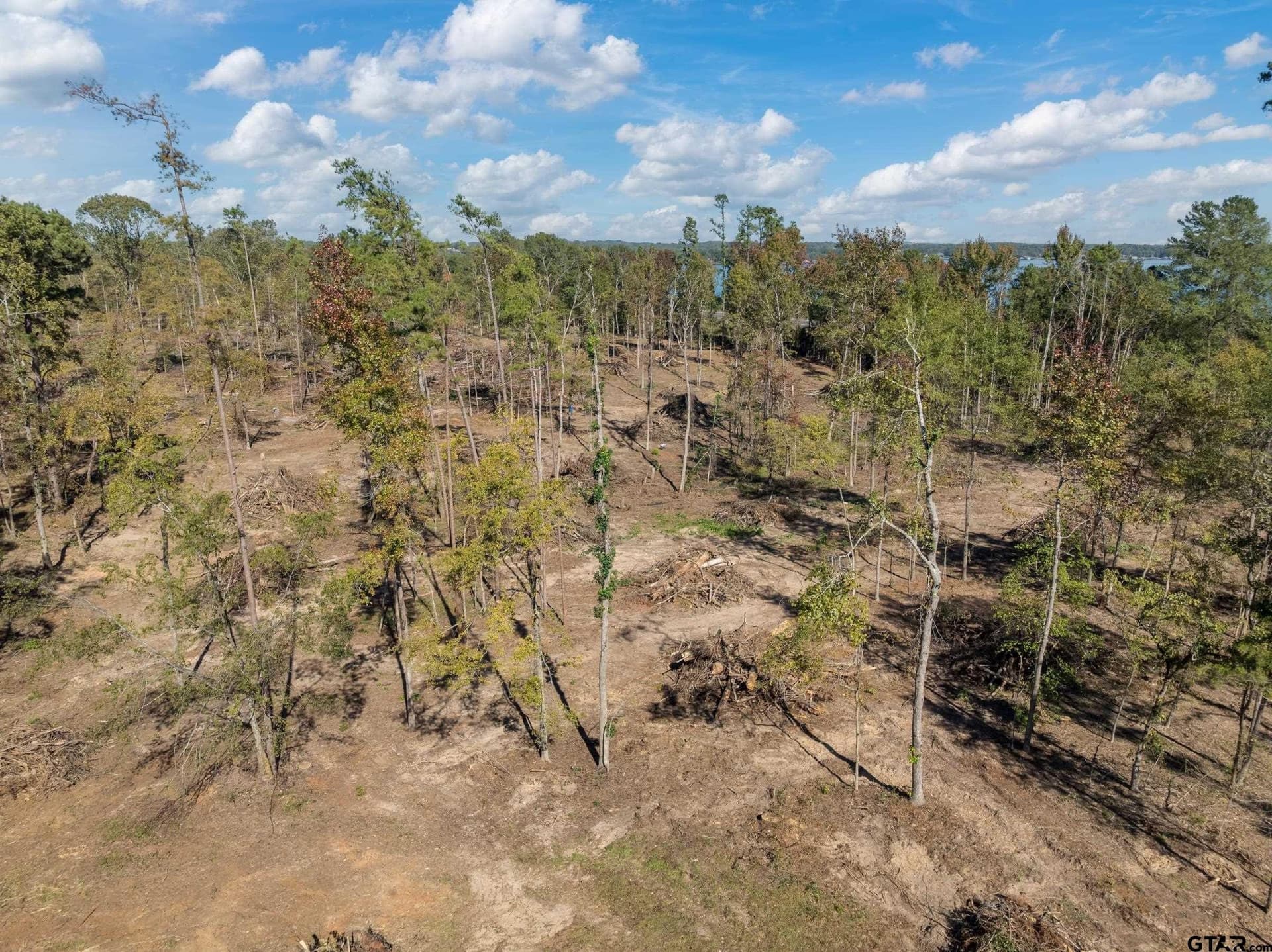 19.7 acres in Smith County - photo 13