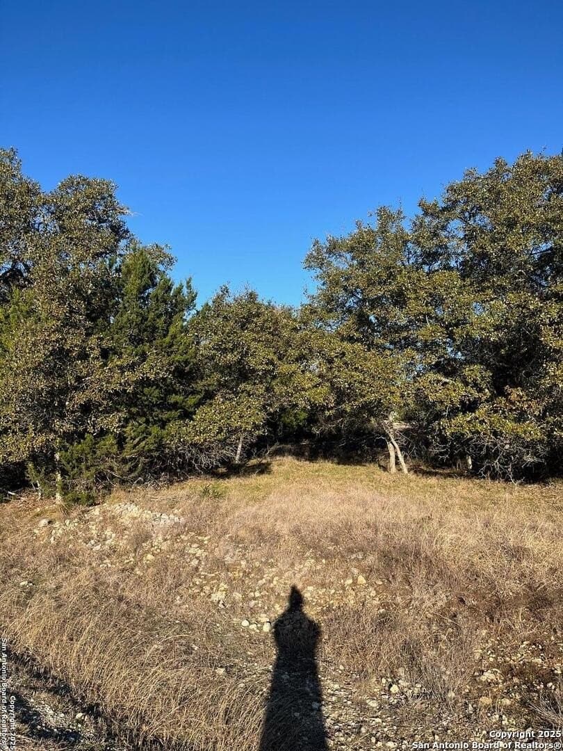 0.22 acres in Blanco County - photo 6