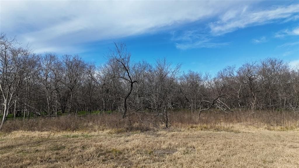 2.36 acres in Navarro County - photo 20
