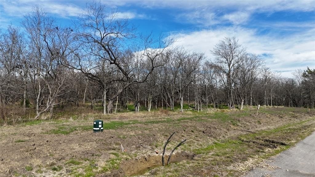 2.36 acres in Navarro County - photo 24