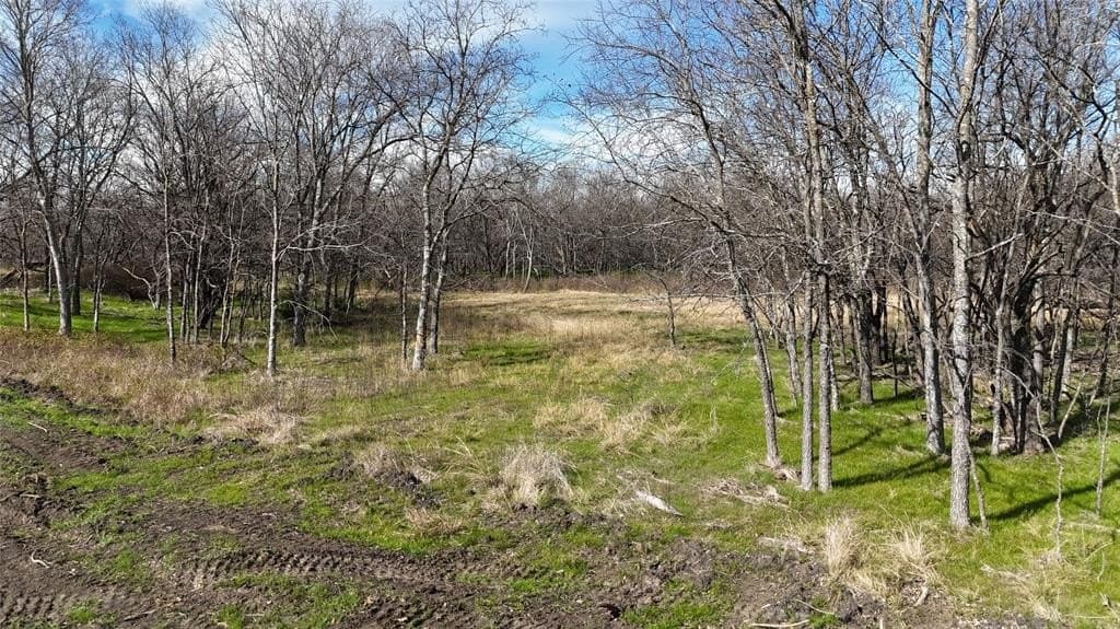 2.36 acres in Navarro County - photo 22