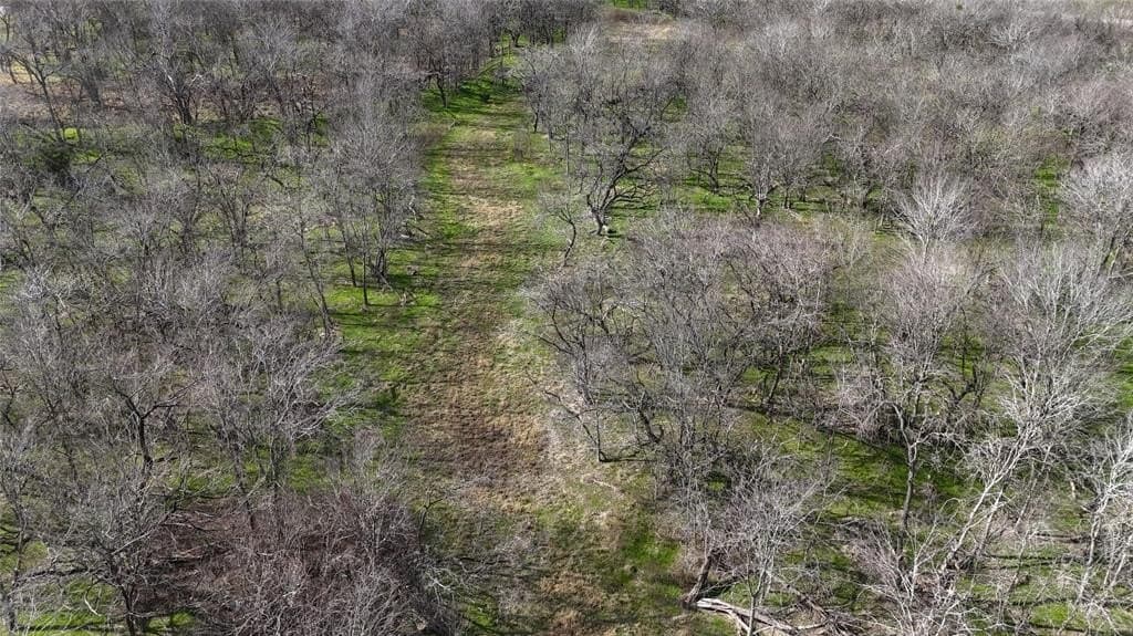 2.36 acres in Navarro County - photo 31