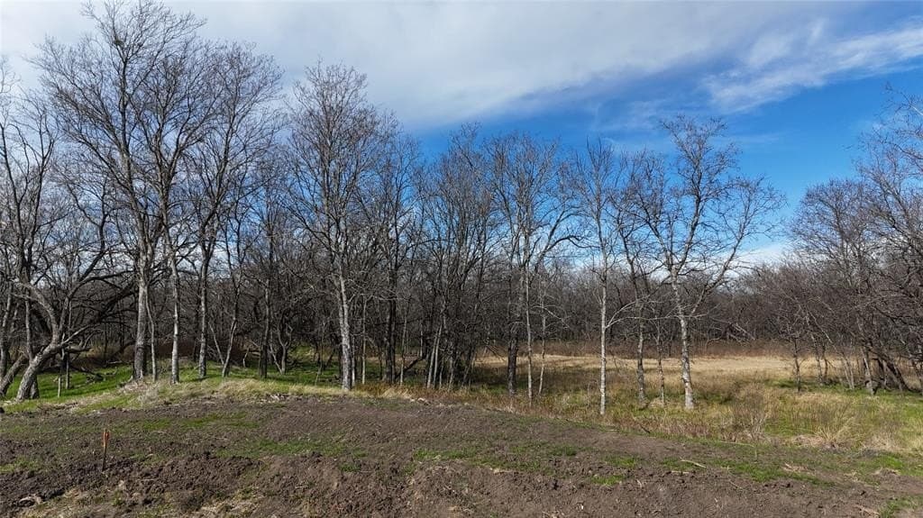 2.36 acres in Navarro County - photo 14