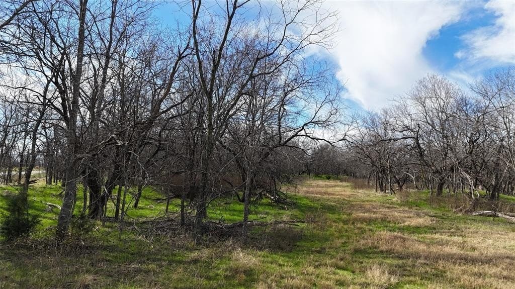 2.36 acres in Navarro County - photo 18