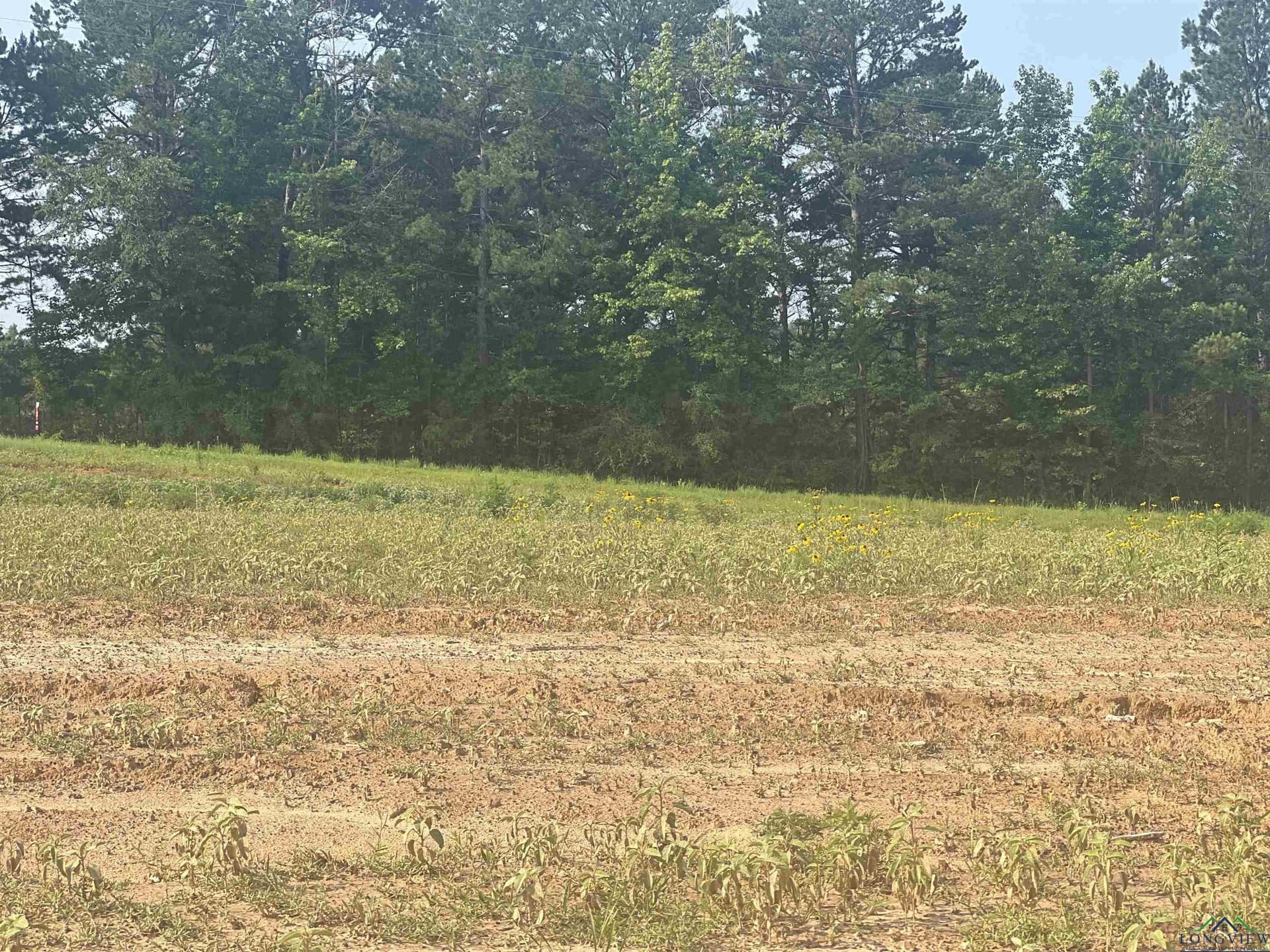 Tbd Sweet Pea Ln