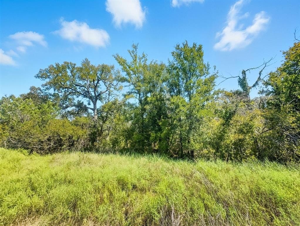 13.35 acres in Hamilton County - photo 10