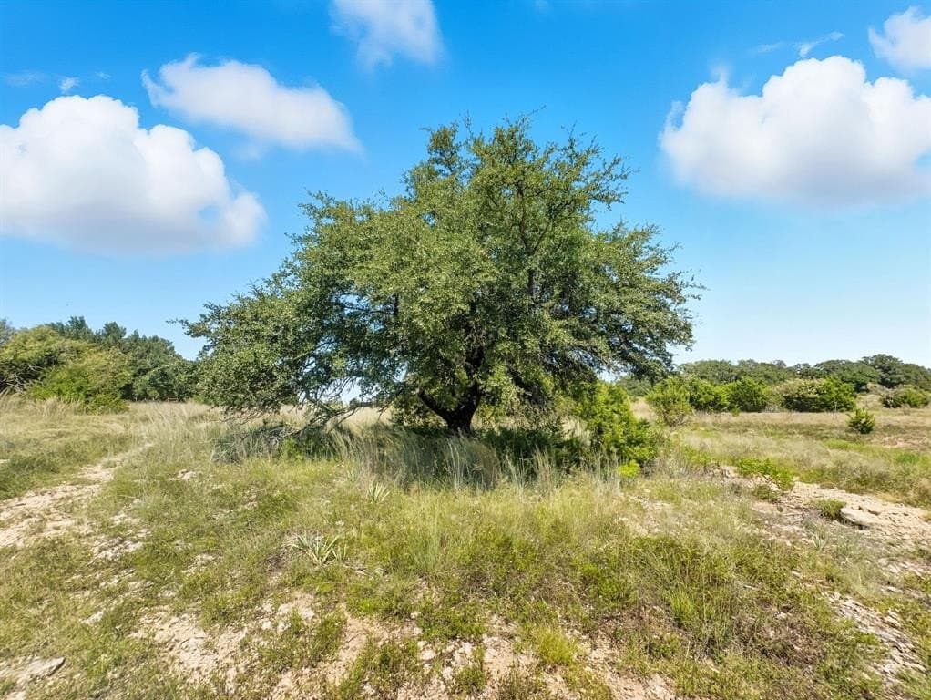 13.35 acres in Hamilton County - photo 5