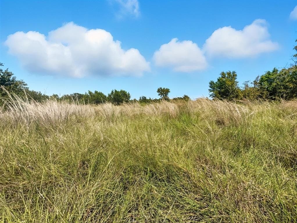 13.35 acres in Hamilton County - photo 13