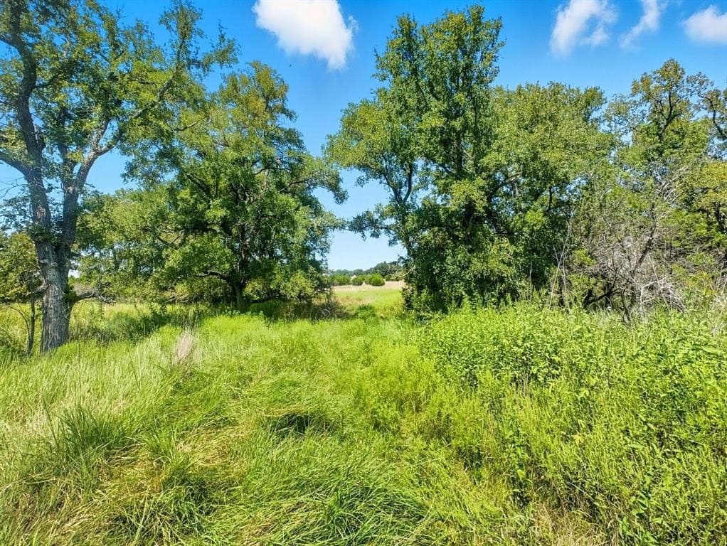 13.35 acres in Hamilton County - photo 11