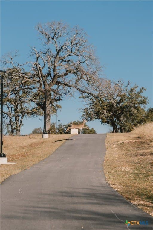 0.99 acres in Bell County - photo 13