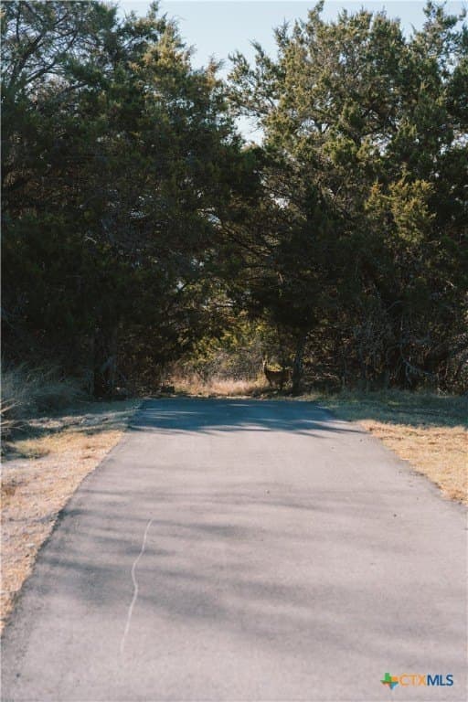0.99 acres in Bell County - photo 12