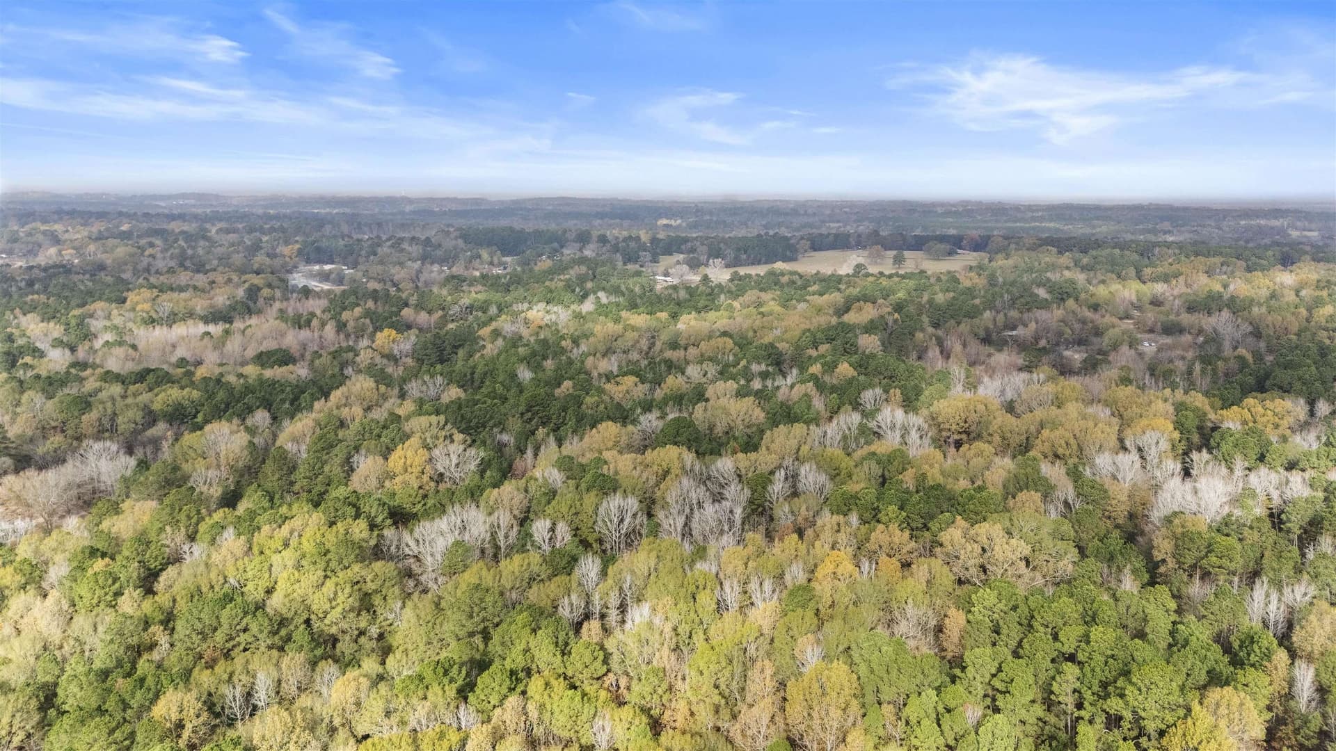 19.7 acres in Gregg County - photo 4