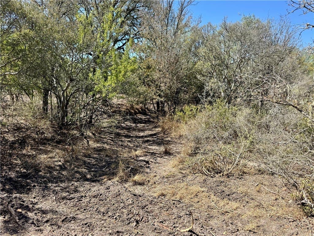 29.63 acres in Atascosa County - photo 28
