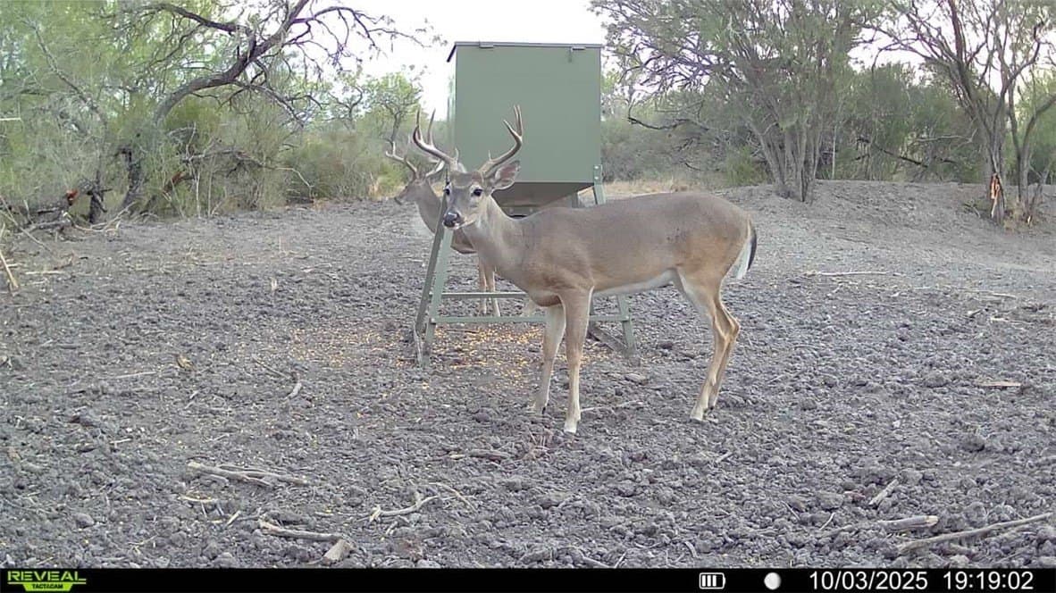 29.63 acres in Atascosa County - photo 32