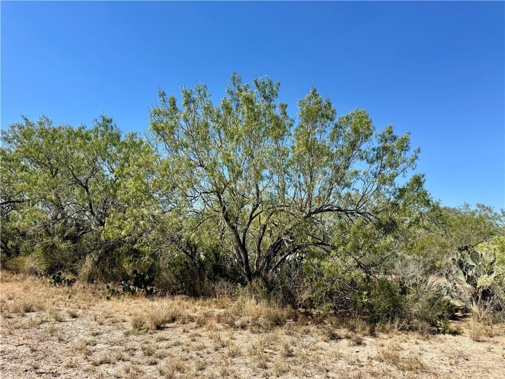 29.63 acres in Atascosa County - photo 31