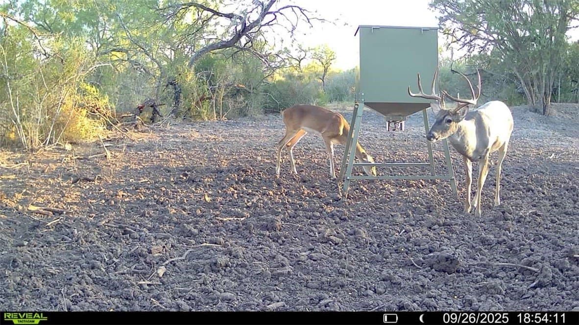 29.63 acres in Atascosa County - photo 38