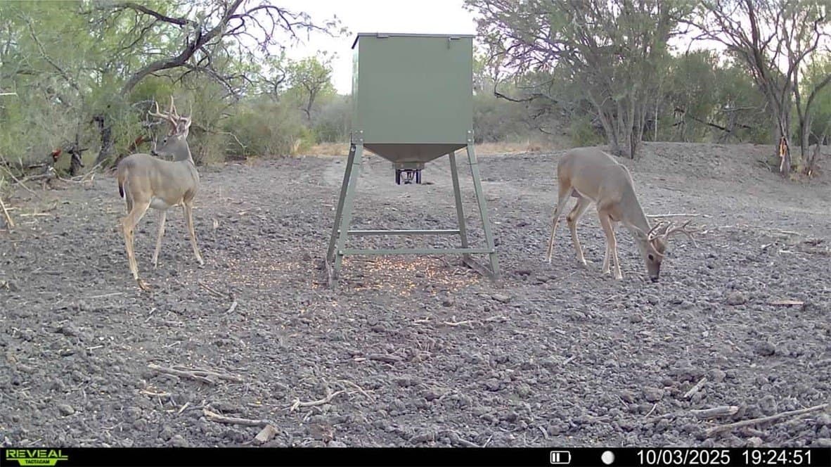 29.63 acres in Atascosa County - photo 26
