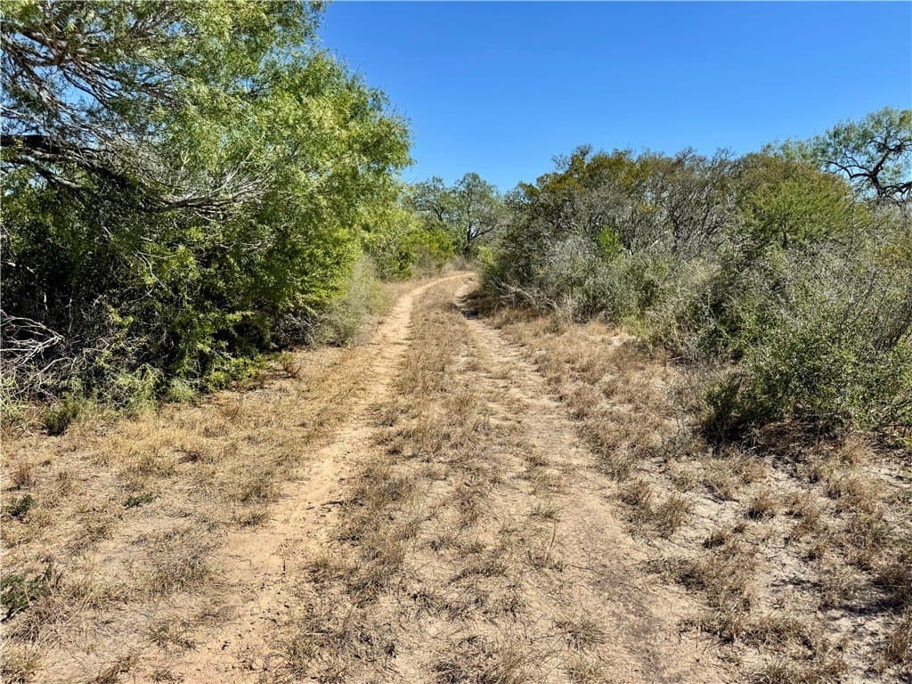 29.63 acres in Atascosa County - photo 33