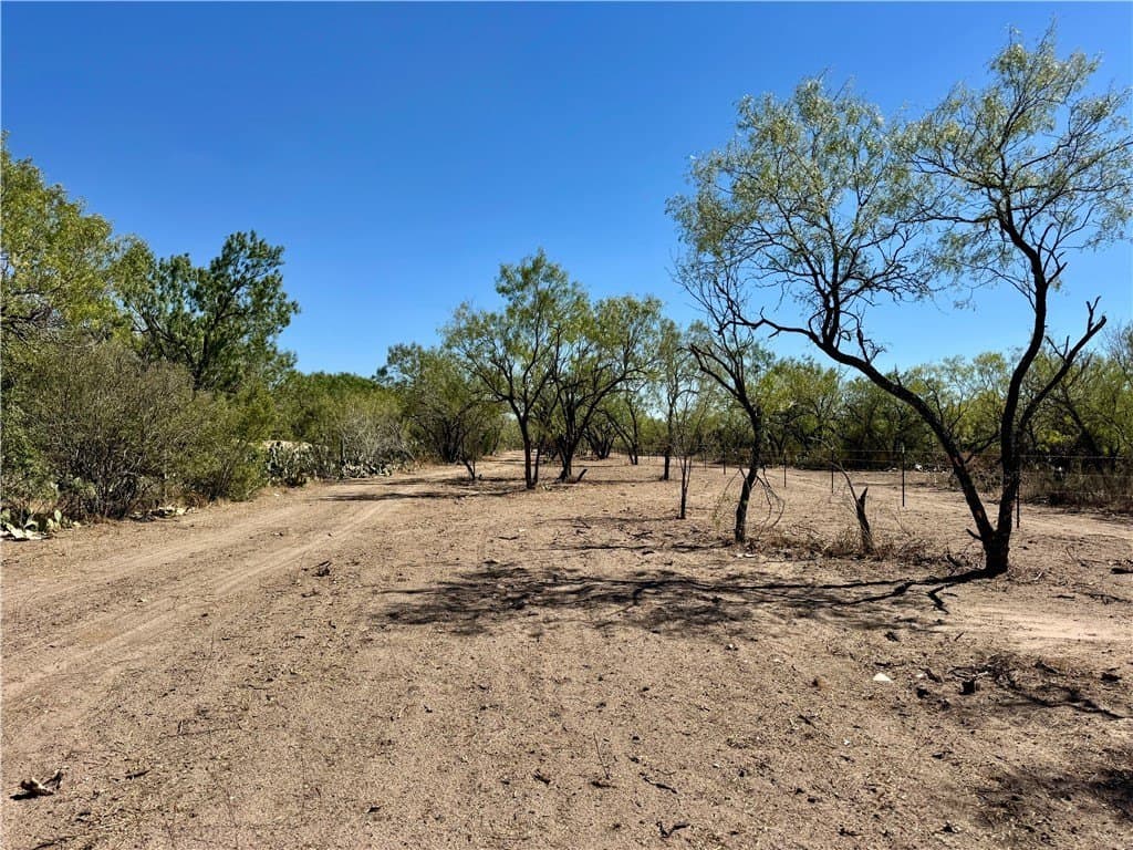 29.63 acres in Atascosa County - photo 6
