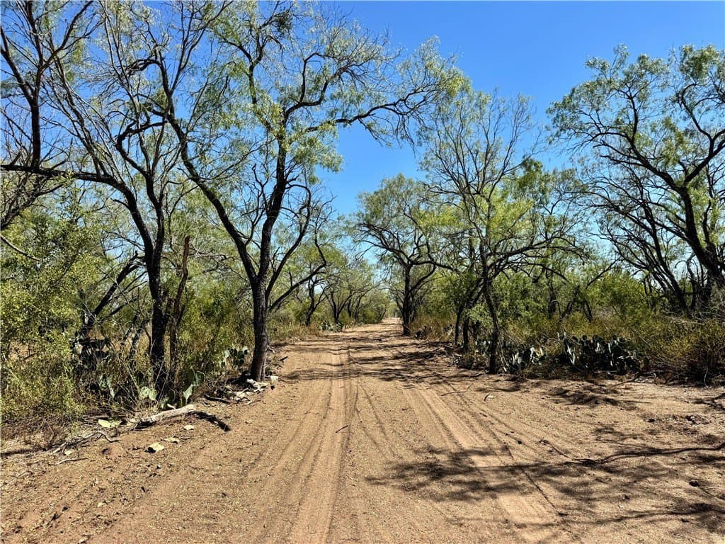 29.63 acres in Atascosa County - photo 7