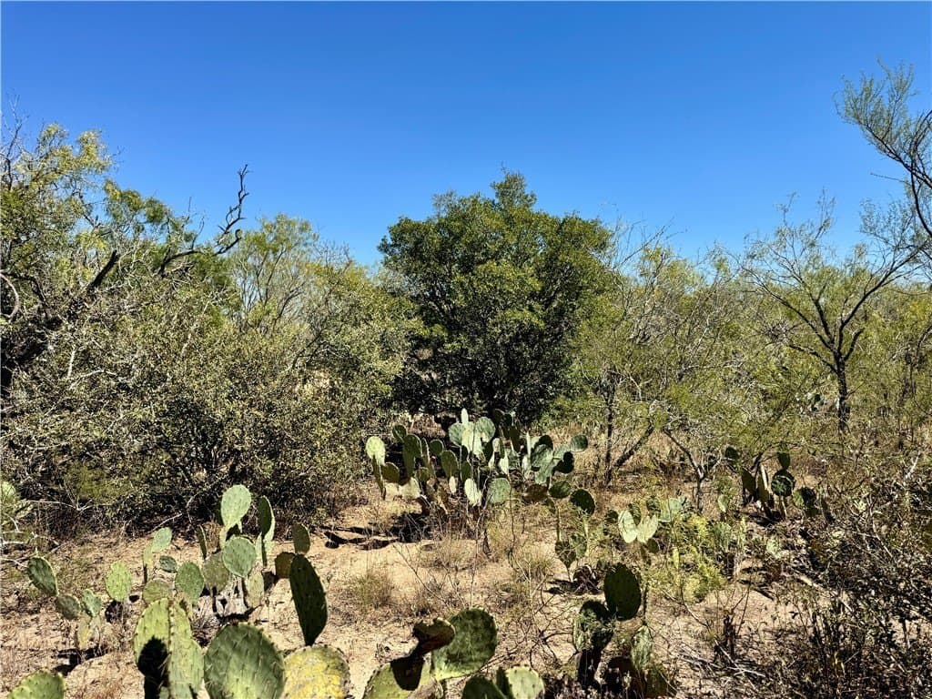 29.63 acres in Atascosa County - photo 9
