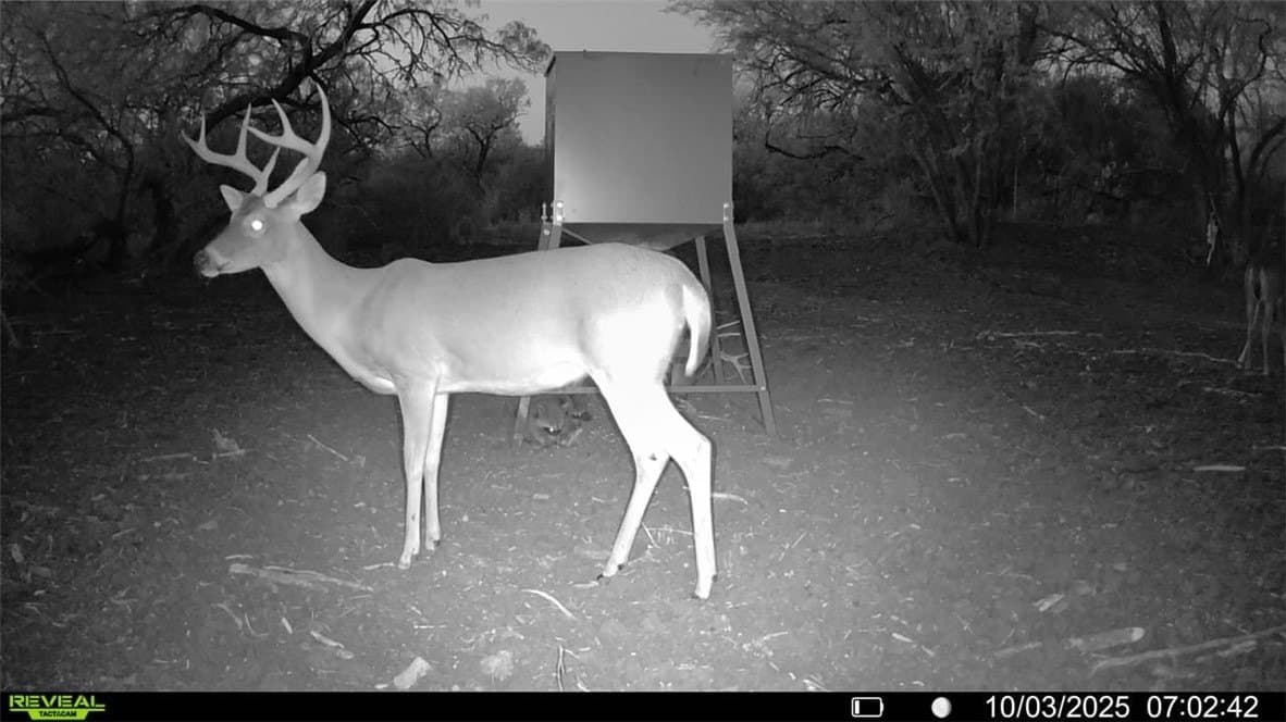 29.63 acres in Atascosa County - photo 8