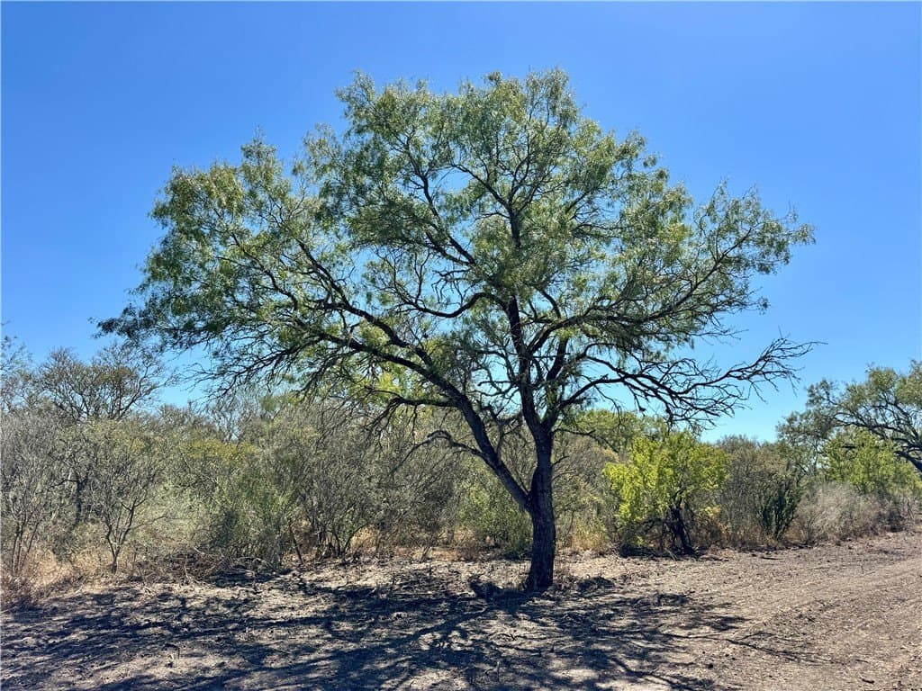 29.63 acres in Atascosa County - photo 16