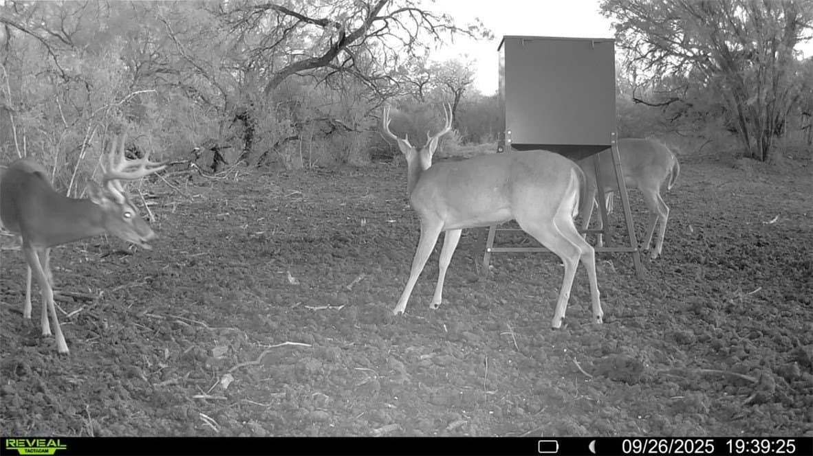 29.63 acres in Atascosa County - photo 11