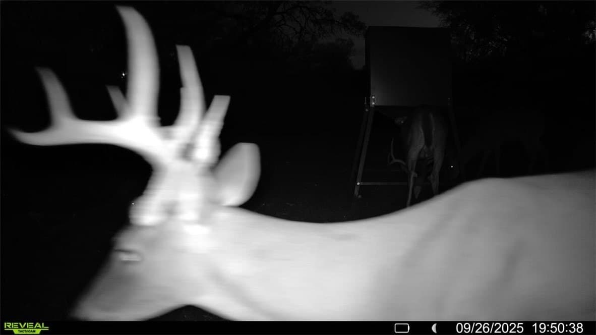 29.63 acres in Atascosa County - photo 2