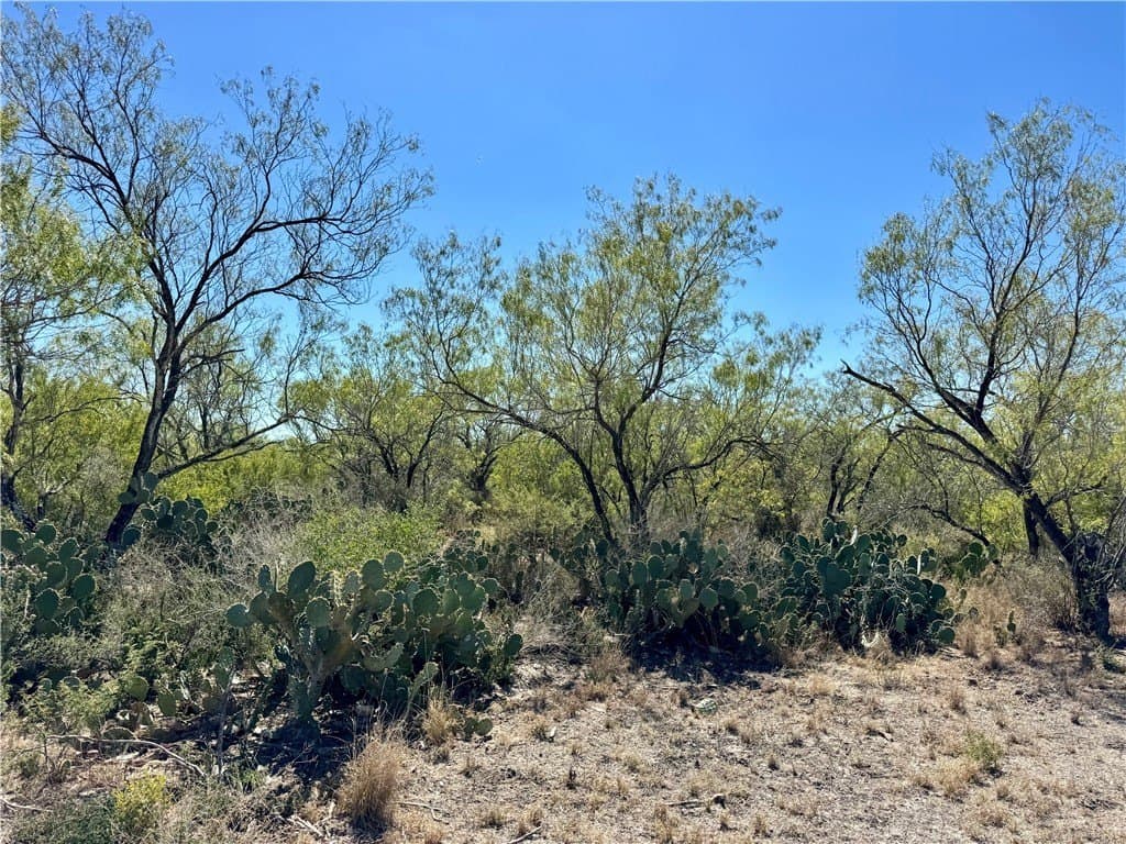 29.63 acres in Atascosa County - photo 30