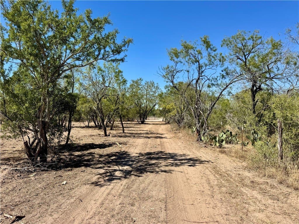 29.63 acres in Atascosa County - photo 4
