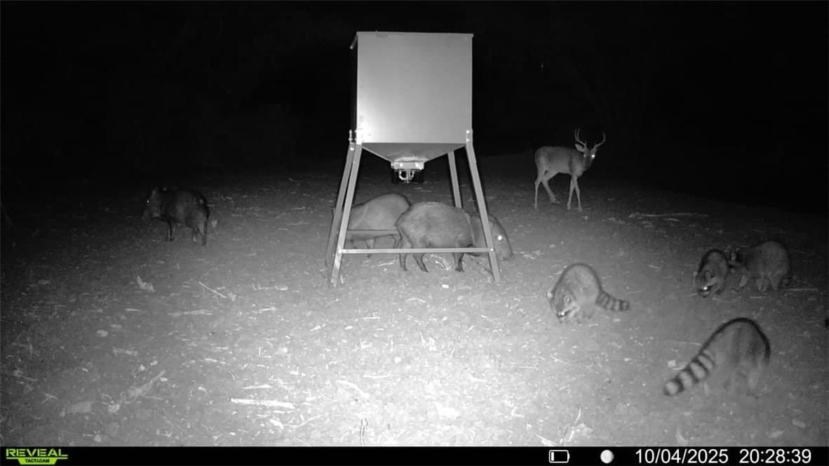 29.63 acres in Atascosa County - photo 29