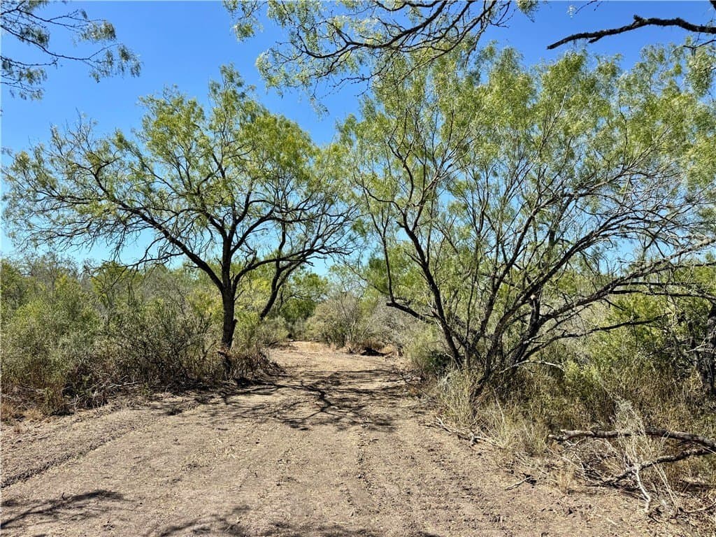 29.63 acres in Atascosa County - photo 15
