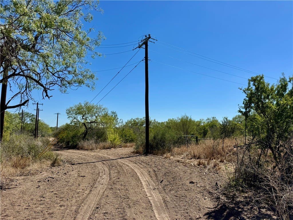 29.63 acres in Atascosa County - photo 10
