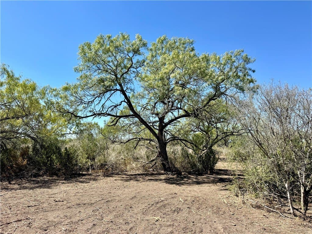 29.63 acres in Atascosa County - photo 25