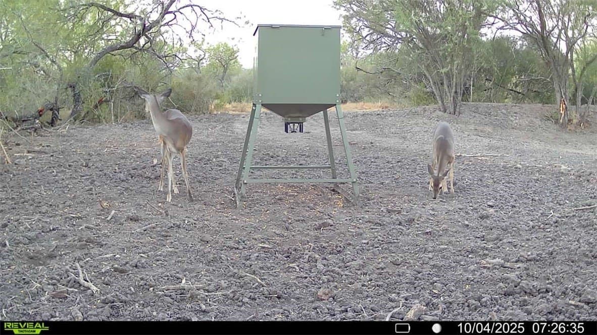 29.63 acres in Atascosa County - photo 35
