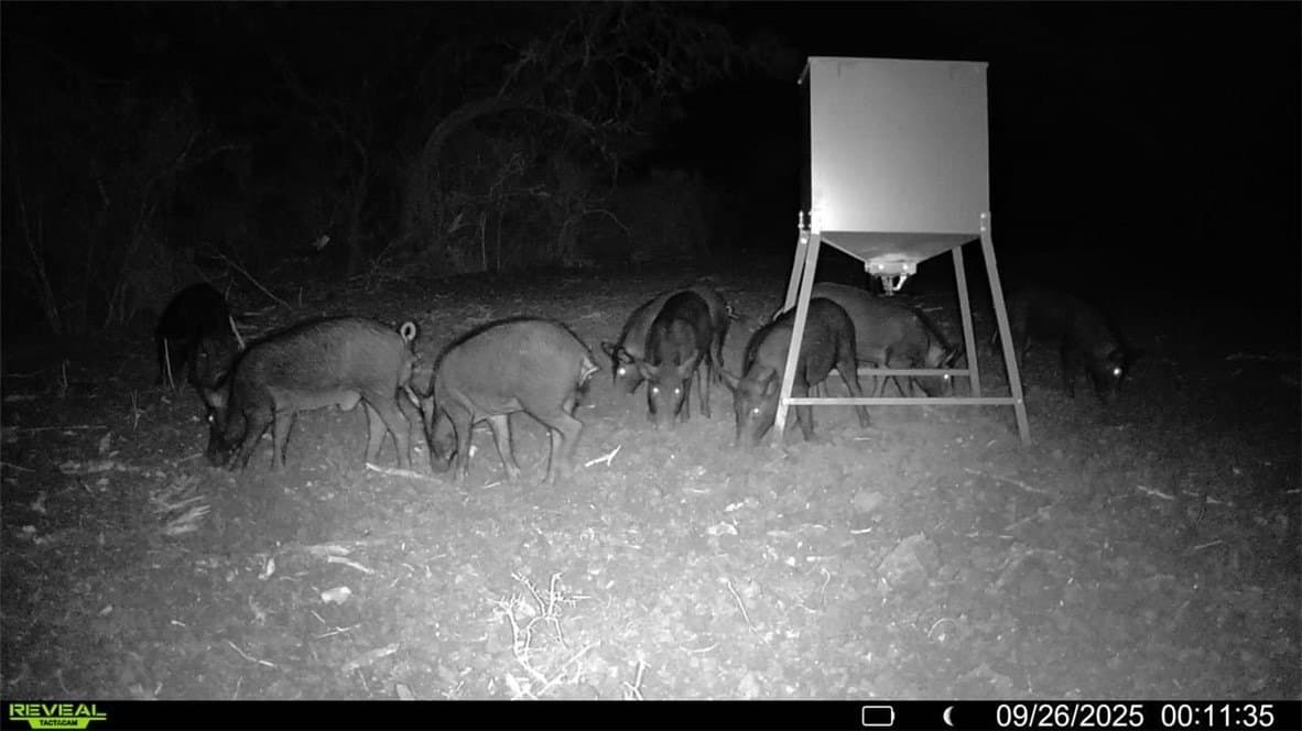 29.63 acres in Atascosa County - photo 14