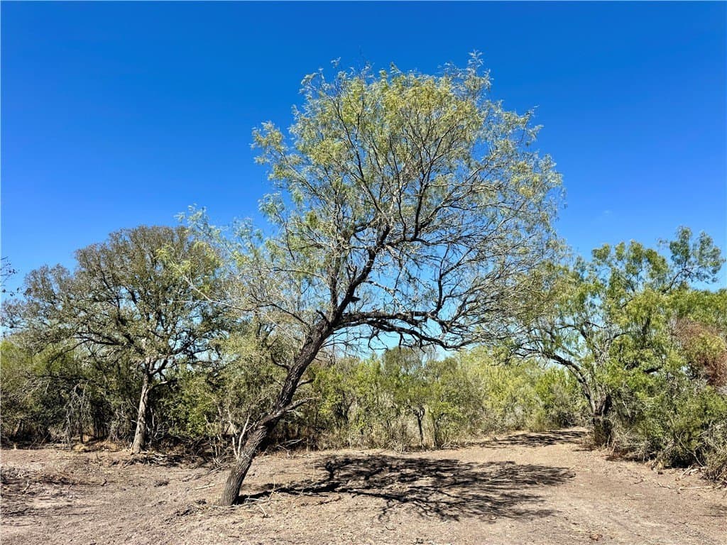 29.63 acres in Atascosa County - photo 22
